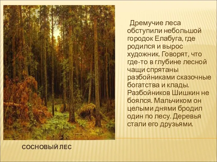 СОСНОВЫЙ ЛЕС Дремучие леса обступили небольшой городок Елабуга, где родился и