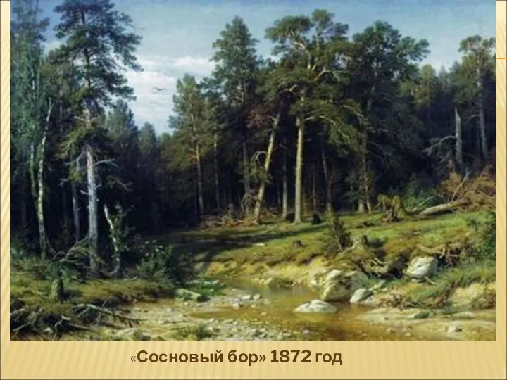 «Сосновый бор» 1872 год