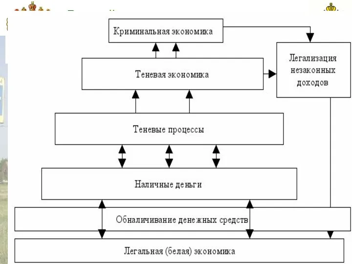 Российская таможенная академия