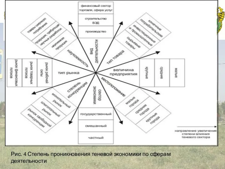 Российская таможенная академия Рис. 4 Степень проникновения теневой экономики по сферам деятельности