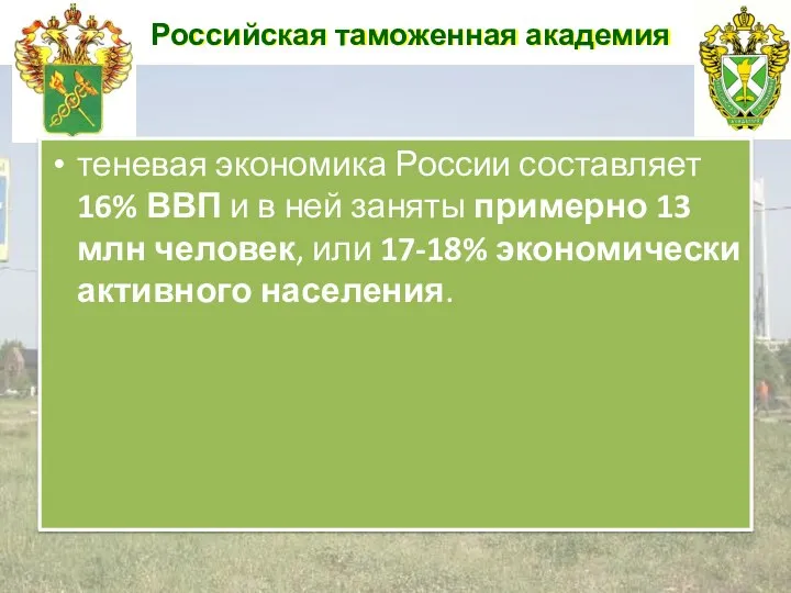 Российская таможенная академия теневая экономика России составляет 16% ВВП и в