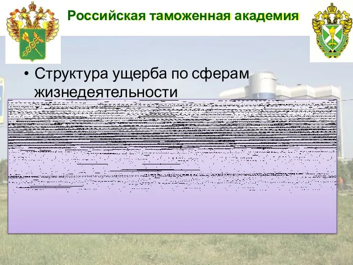 Российская таможенная академия Структура ущерба по сферам жизнедеятельности