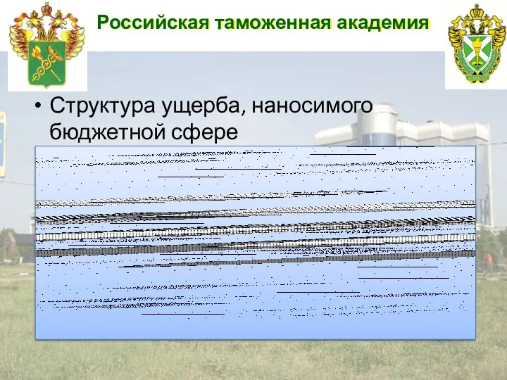 Российская таможенная академия Структура ущерба, наносимого бюджетной сфере