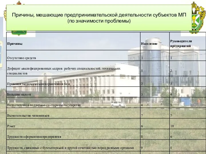 Российская таможенная академия Причины, мешающие предпринимательской деятельности субъектов МП (по значимости проблемы)