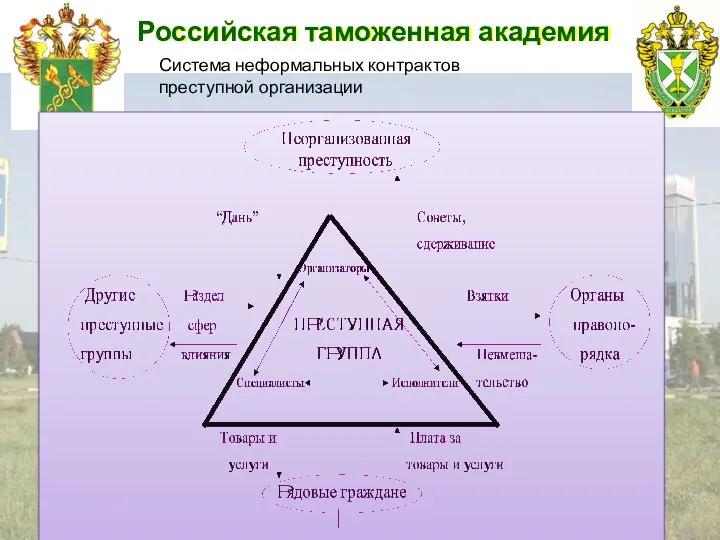 Российская таможенная академия Система неформальных контрактов преступной организации