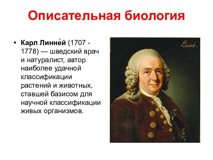 Описательная биология Карл Линне́й (1707 - 1778) — шведский врач и