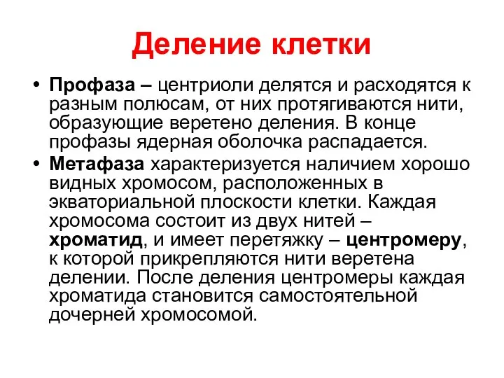 Деление клетки Профаза – центриоли делятся и расходятся к разным полюсам,