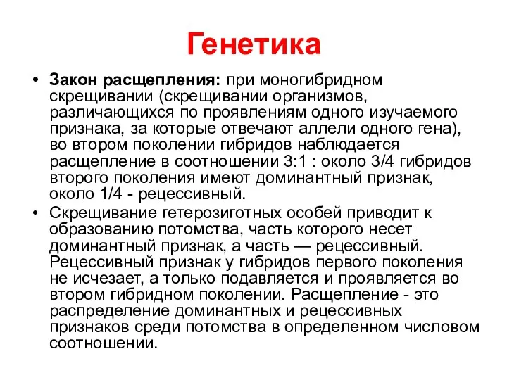 Генетика Закон расщепления: при моногибридном скрещивании (скрещивании организмов, различающихся по проявлениям