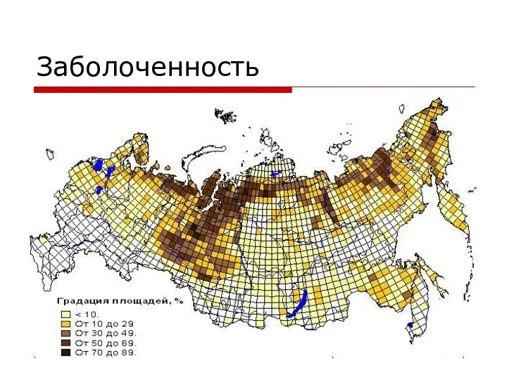 Заболоченность