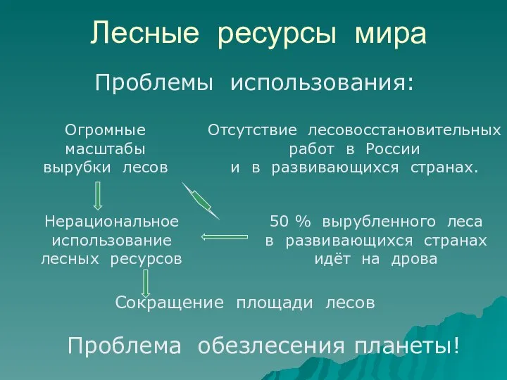 Лесные ресурсы мира Сокращение площади лесов Нерациональное использование лесных ресурсов 50