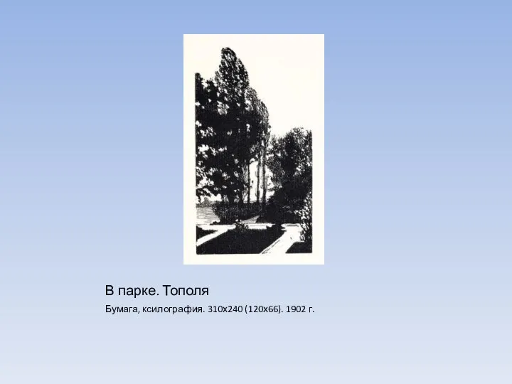 В парке. Тополя Бумага, ксилография. 310х240 (120х66). 1902 г.