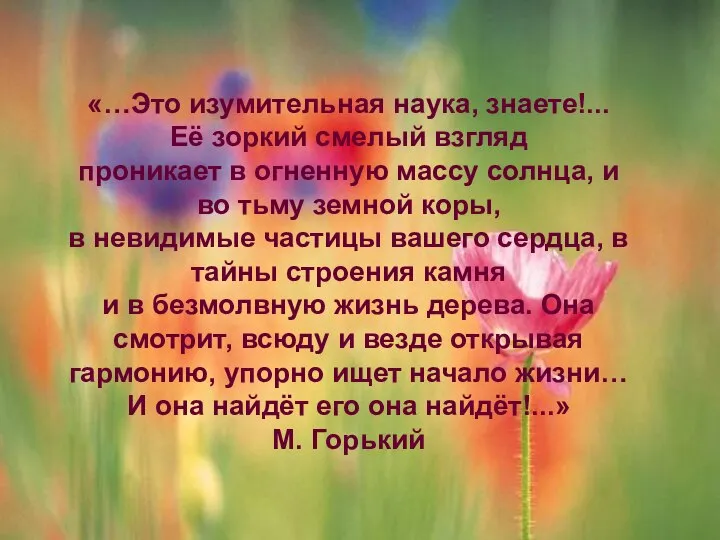 Учитель химии МОУ СОШ №7 г. Сыктывкара Н.О. Полле «…Это изумительная