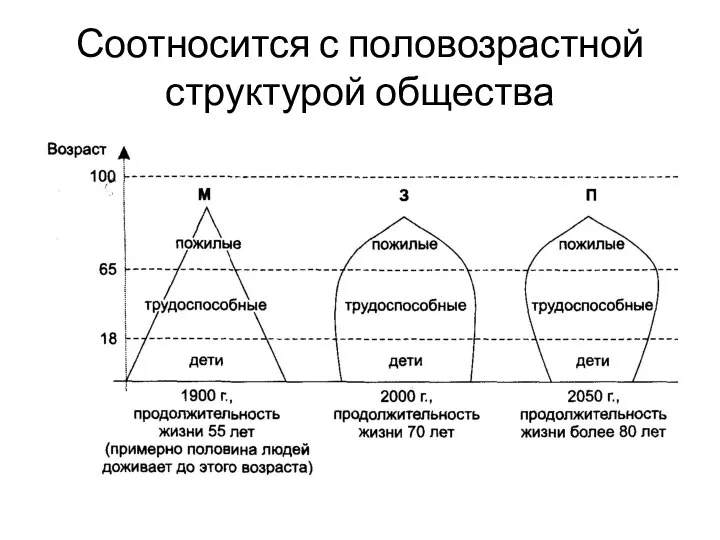 Соотносится с половозрастной структурой общества