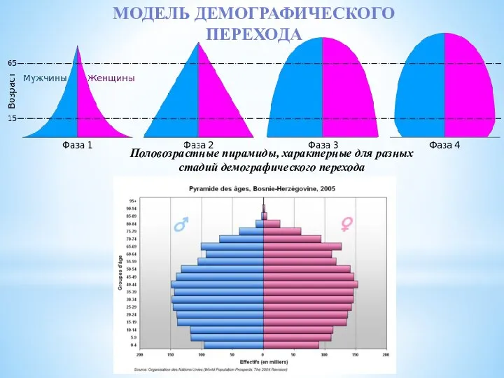 Половозрастные пирамиды, характерные для разных стадий демографического перехода Модель демографического перехода