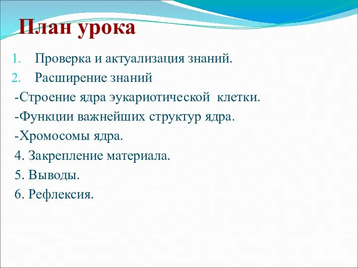 План урока Проверка и актуализация знаний. Расширение знаний -Строение ядра эукариотической