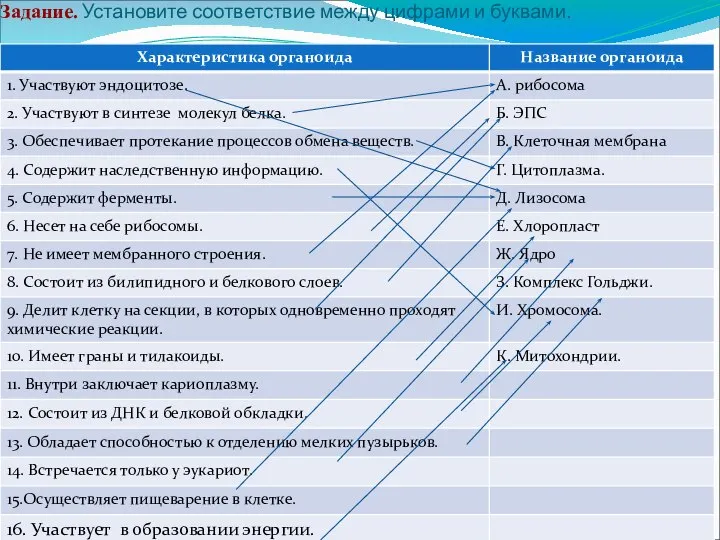 Задание. Установите соответствие между цифрами и буквами.