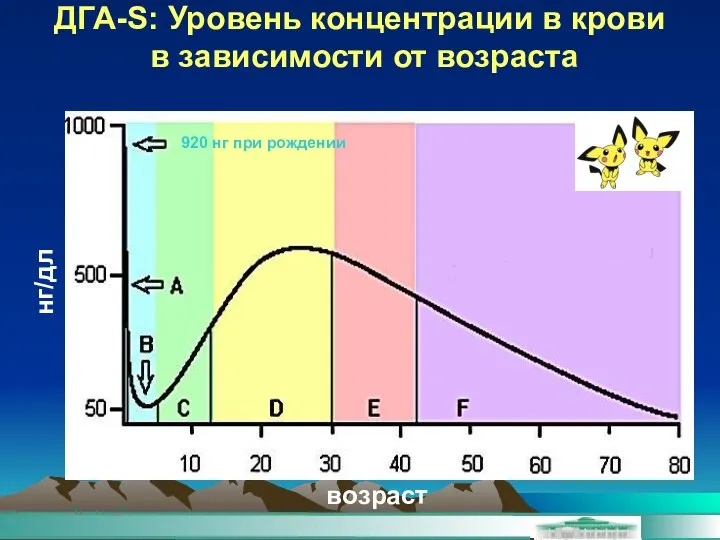 ДГА-S: Уровень концентрации в крови в зависимости от возраста нг/дл возраст 920 нг при рождении