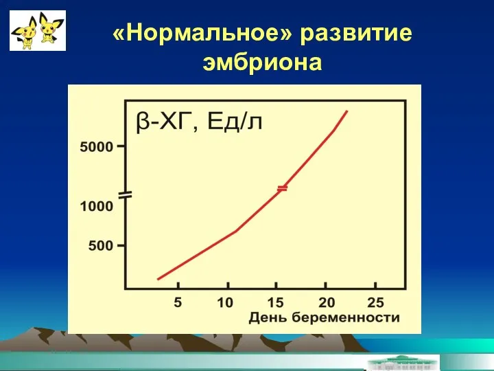 «Нормальное» развитие эмбриона