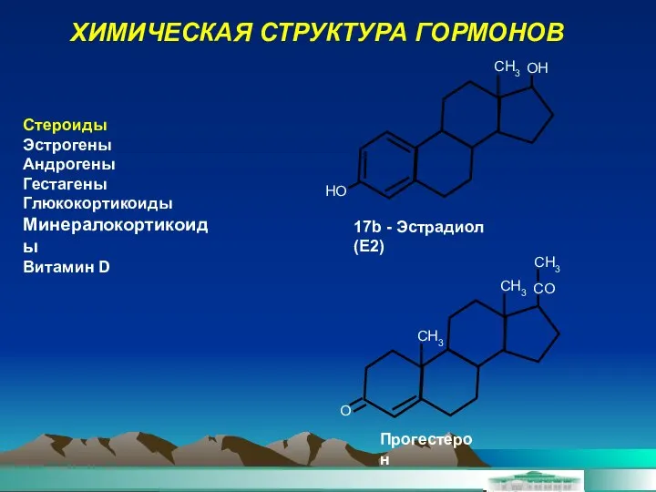 Стероиды Эстрогены Андрогены Гестагены Глюкокортикоиды Минералокортикоиды Витамин D ХИМИЧЕСКАЯ СТРУКТУРА ГОРМОНОВ