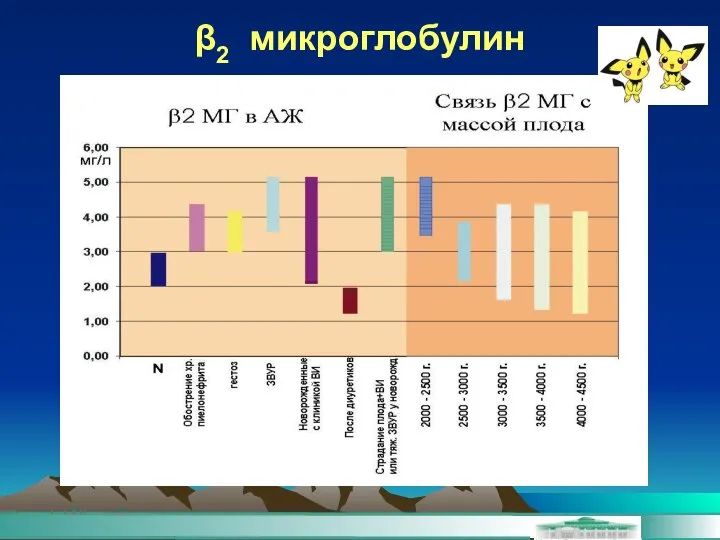 β2 микроглобулин