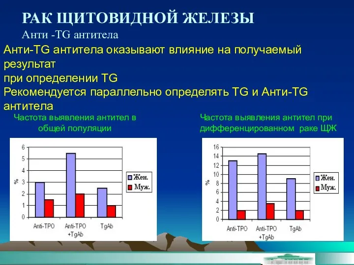 РАК ЩИТОВИДНОЙ ЖЕЛЕЗЫ Анти -TG антитела Анти-TG антитела оказывают влияние на