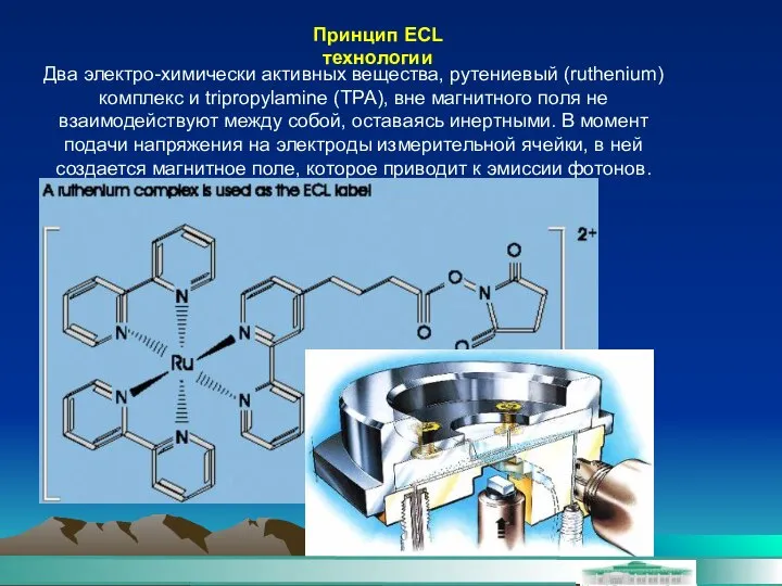 Два электро-химически активных вещества, рутениевый (ruthenium) комплекс и tripropylamine (TPA), вне