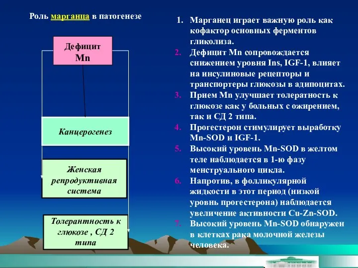 Роль марганца в патогенезе Дефицит Mn Толерантность к глюкозе , СД