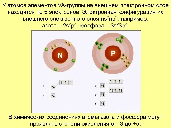 У атомов элементов VA-группы на внешнем электронном слое находится по 5