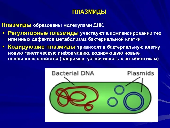 ПЛАЗМИДЫ Плазмиды образованы молекулами ДНК. Регуляторные плазмиды участвуют в компенсировании тех