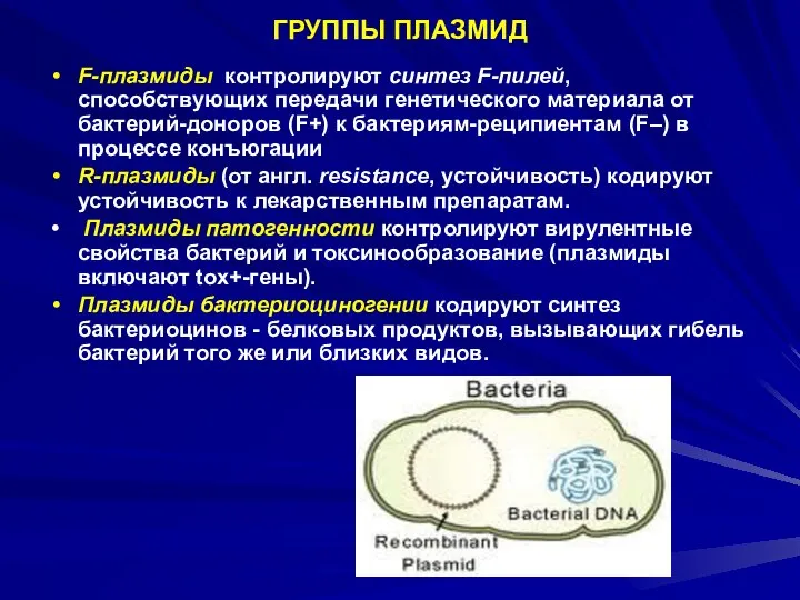 ГРУППЫ ПЛАЗМИД F-плазмиды контролируют синтез F-пилей, способствующих передачи генетического материала от