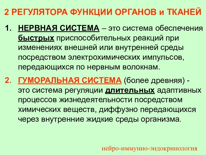 2 РЕГУЛЯТОРА ФУНКЦИИ ОРГАНОВ и ТКАНЕЙ НЕРВНАЯ СИСТЕМА – это система