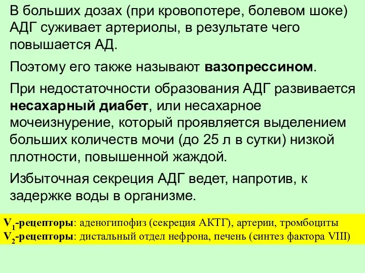 В больших дозах (при кровопотере, болевом шоке) АДГ суживает артериолы, в