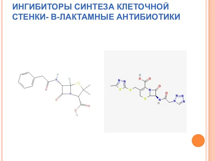 ИНГИБИТОРЫ СИНТЕЗА КЛЕТОЧНОЙ СТЕНКИ- В-ЛАКТАМНЫЕ АНТИБИОТИКИ