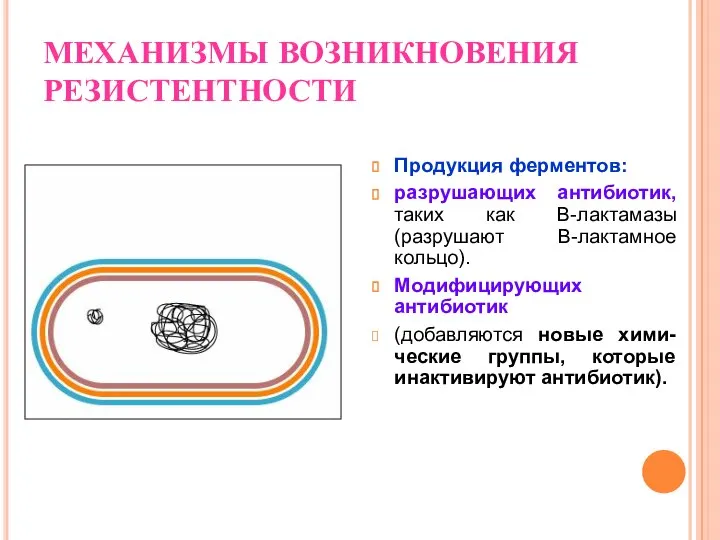 МЕХАНИЗМЫ ВОЗНИКНОВЕНИЯ РЕЗИСТЕНТНОСТИ Продукция ферментов: разрушающих антибиотик, таких как B-лактамазы (разрушают