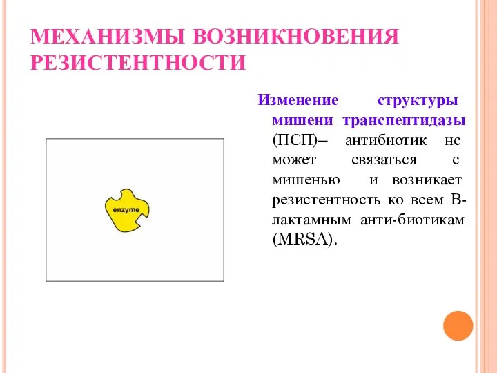 МЕХАНИЗМЫ ВОЗНИКНОВЕНИЯ РЕЗИСТЕНТНОСТИ Изменение структуры мишени транспептидазы (ПСП)– антибиотик не может