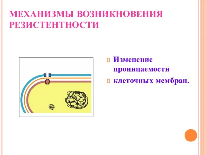 МЕХАНИЗМЫ ВОЗНИКНОВЕНИЯ РЕЗИСТЕНТНОСТИ Изменение проницаемости клеточных мембран.