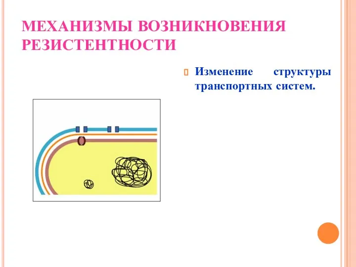 МЕХАНИЗМЫ ВОЗНИКНОВЕНИЯ РЕЗИСТЕНТНОСТИ Изменение структуры транспортных систем.