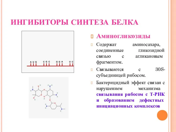 ИНГИБИТОРЫ СИНТЕЗА БЕЛКА Аминогликозиды Содержат аминосахара, соединенные гликозидной связью с агликановым
