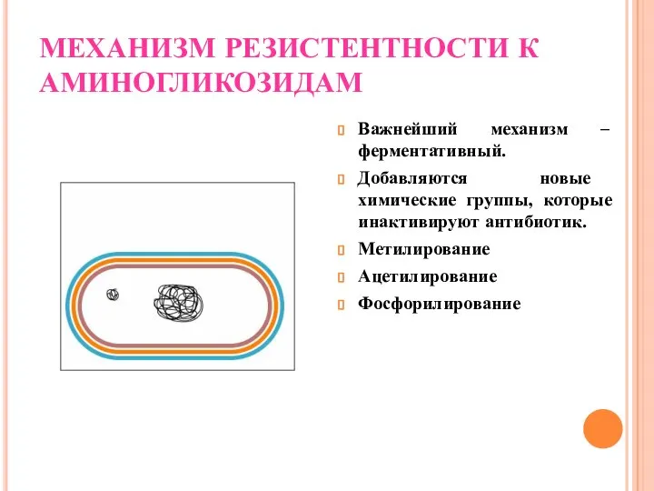 МЕХАНИЗМ РЕЗИСТЕНТНОСТИ К АМИНОГЛИКОЗИДАМ Важнейший механизм – ферментативный. Добавляются новые химические