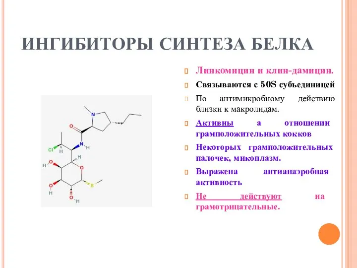 ИНГИБИТОРЫ СИНТЕЗА БЕЛКА Линкомицин и клин-дамицин. Связываются с 50S субъединицей По