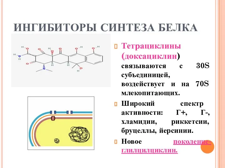 ИНГИБИТОРЫ СИНТЕЗА БЕЛКА Тетрациклины (доксациклин) связываются с 30S субъединицей, воздействует и