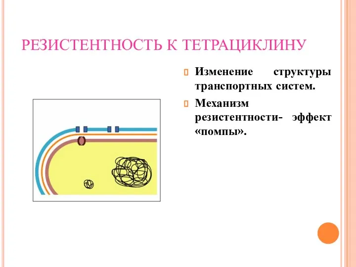 РЕЗИСТЕНТНОСТЬ К ТЕТРАЦИКЛИНУ Изменение структуры транспортных систем. Механизм резистентности- эффект «помпы».