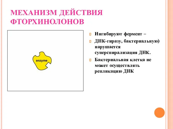 МЕХАНИЗМ ДЕЙСТВИЯ ФТОРХИНОЛОНОВ Ингибируют фермент – ДНК-гиразу, бактериальную) нарушается суперспирализация ДНК.