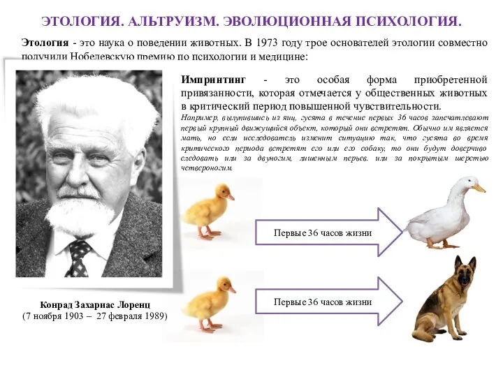 ЭТОЛОГИЯ. АЛЬТРУИЗМ. ЭВОЛЮЦИОННАЯ ПСИХОЛОГИЯ. Этология - это наука о поведении животных.