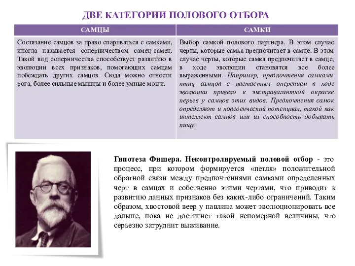 Две категории полового отбора Гипотеза Фишера. Неконтролируемый половой отбор - это