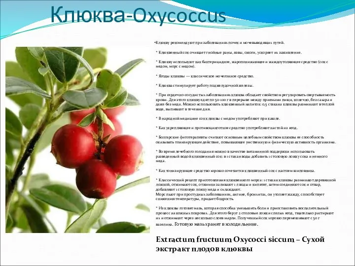 Клюква-Oxycoccus Клюкву рекомендуют при заболеваниях почек и мочевыводящих путей. * Клюквенный