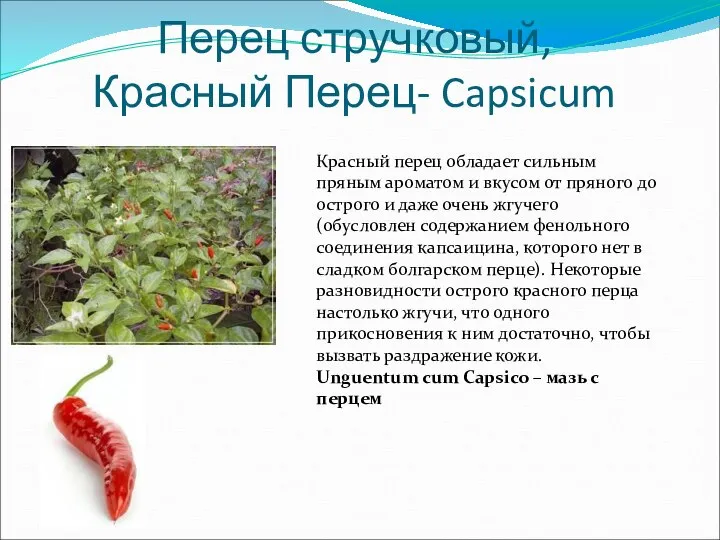 Перец стручковый, Красный Перец- Capsicum Красный перец обладает сильным пряным ароматом