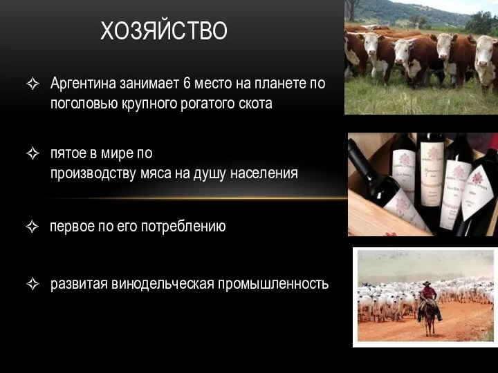 хозяйство Аргентина занимает 6 место на планете по поголовью крупного рогатого