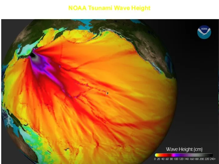 NOAA Tsunami Wave Height