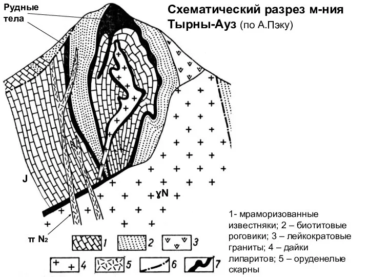 ɣN J π N2 Рудные тела Схематический разрез м-ния Тырны-Ауз (по